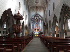 Erkundung von Heimerads Heimat Rheinfall, Radolfzell, Reichenau